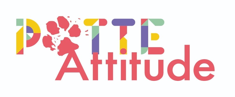 Logo Patte Attitude